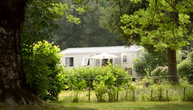Bungalow dans les Vosges au cœur de la nature, camping au clos de la Chaume