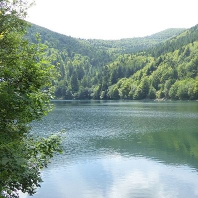 Camping Clos De La Chaume : Lac Du Grand Ballon Lac Des Vosges