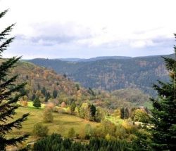 Camping Clos De La Chaume : Visiter Les Vosges Corcieux