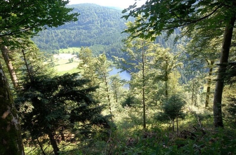 Camping Vosges entre montagnes lacs et forêts