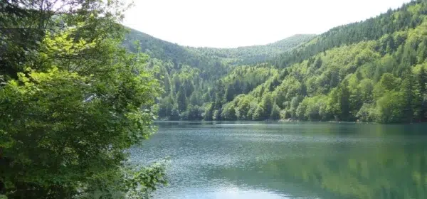 lac-du-grand Activités et visites à faire en Lorraine