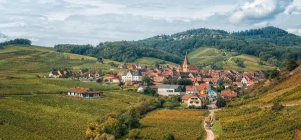 mountains Que faire en Alsace? Le guide complet