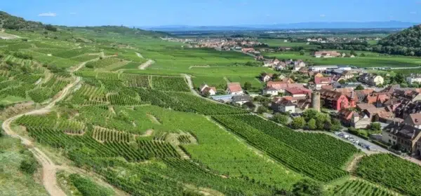 alsace