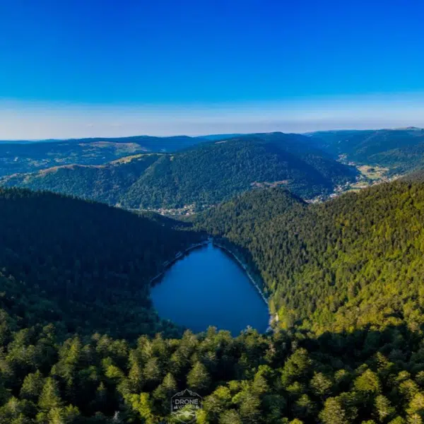 117595630 191309339007623 6913992929746566653 n