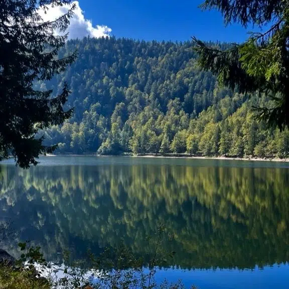 496942463 1274943524631179 6778931269228927554 n