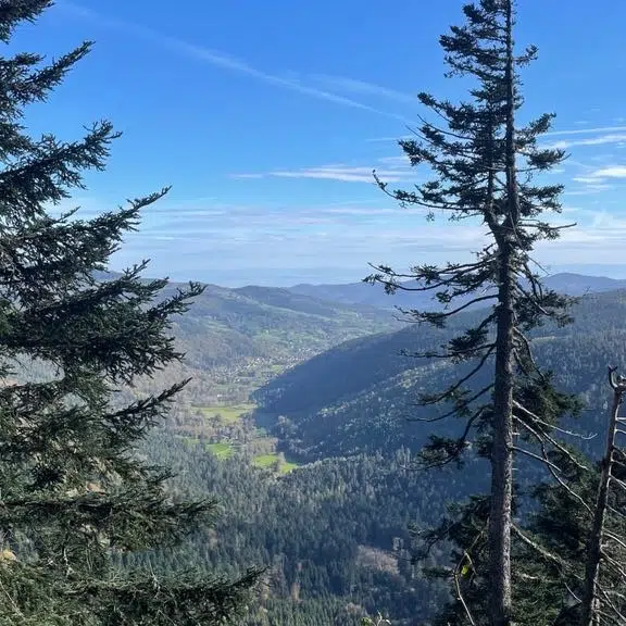 att.jwXk3X3tlA9U9KG efr6RPGsEf WgruzzfEbXrQIPrU