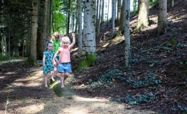 camping au clos de la chaume vosges activites enfants