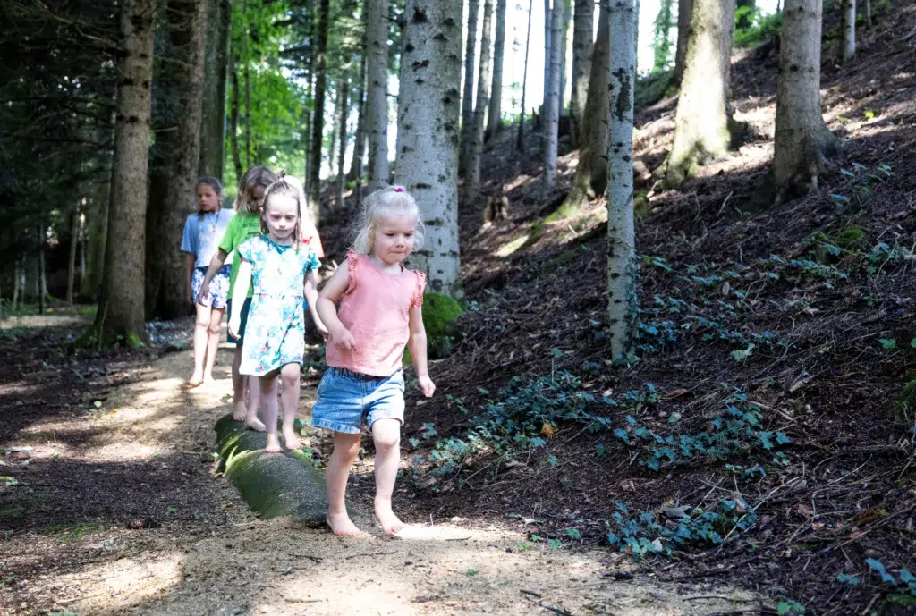 camping au clos de la chaume vosges familial 2