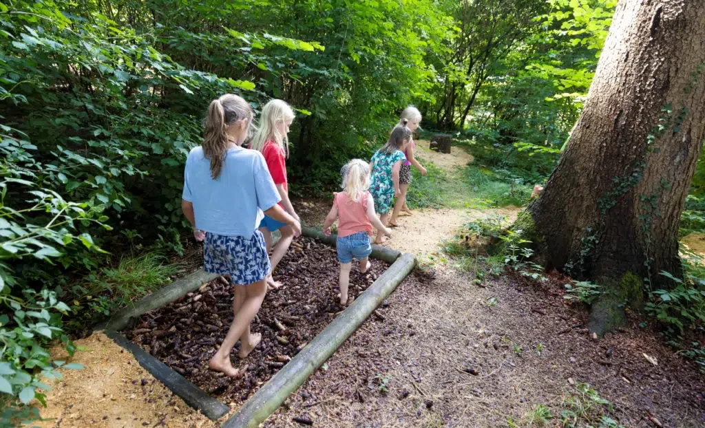 camping au clos de la chaume vosges foret en famille 1