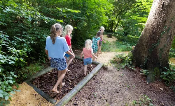 camping au clos de la chaume vosges foret en famille