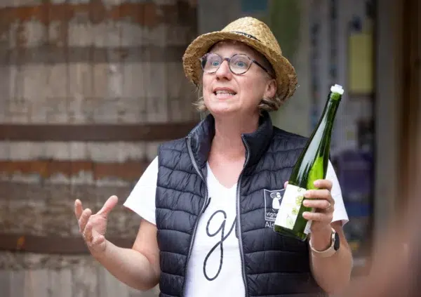 camping au clos de la chaume vosges vins dalsace